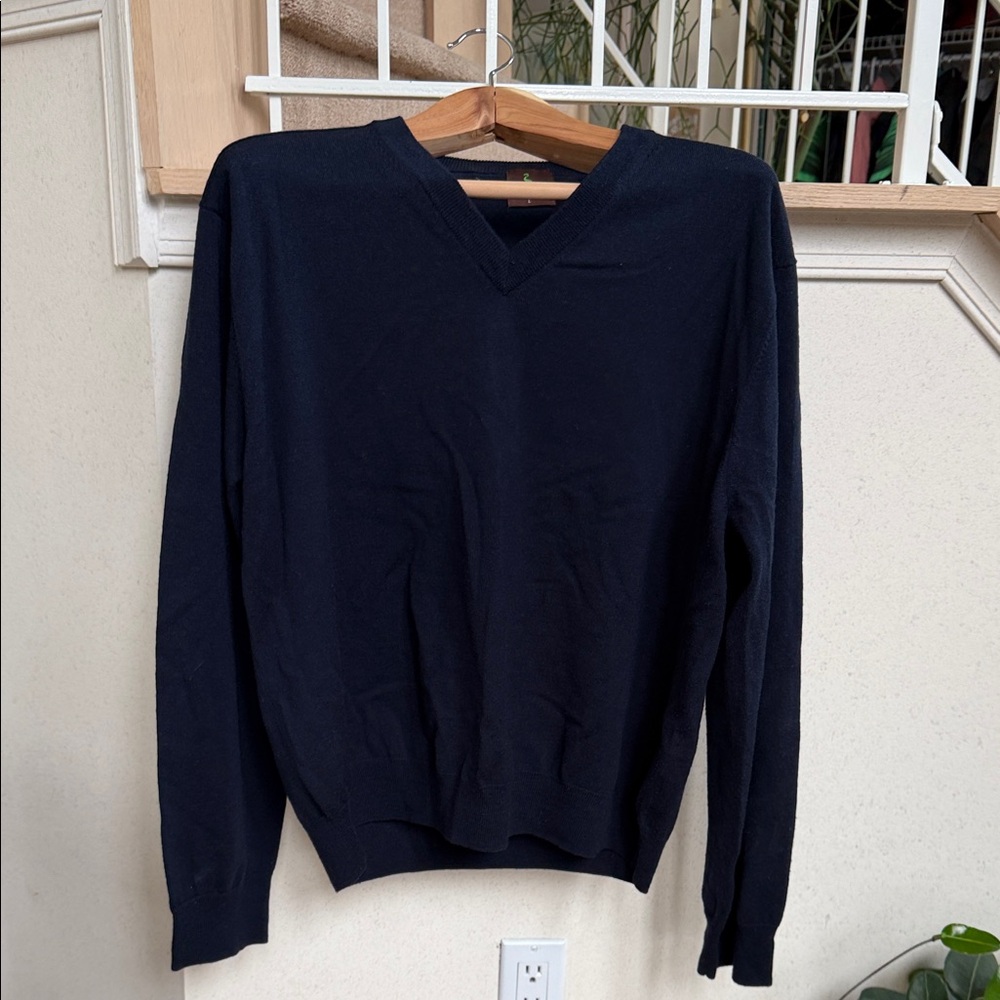 Tailorbyrd Men's Dark Blue 100% Wool V-Neck Sweater
